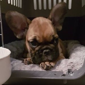 Meet your Posher, Kami